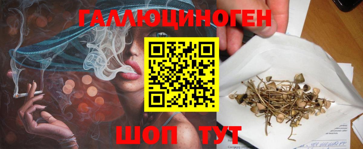 Галлюциногенные грибы GOLDEN TEACHER Жигулёвск