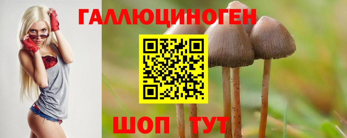 Галлюциногенные грибы Psilocybine cubensis  Вход с VPN  Жигулёвск  Псилоцибиновые грибы Cubensis 